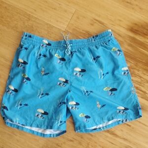 Goodfellow & Co Blue Swim Trunks